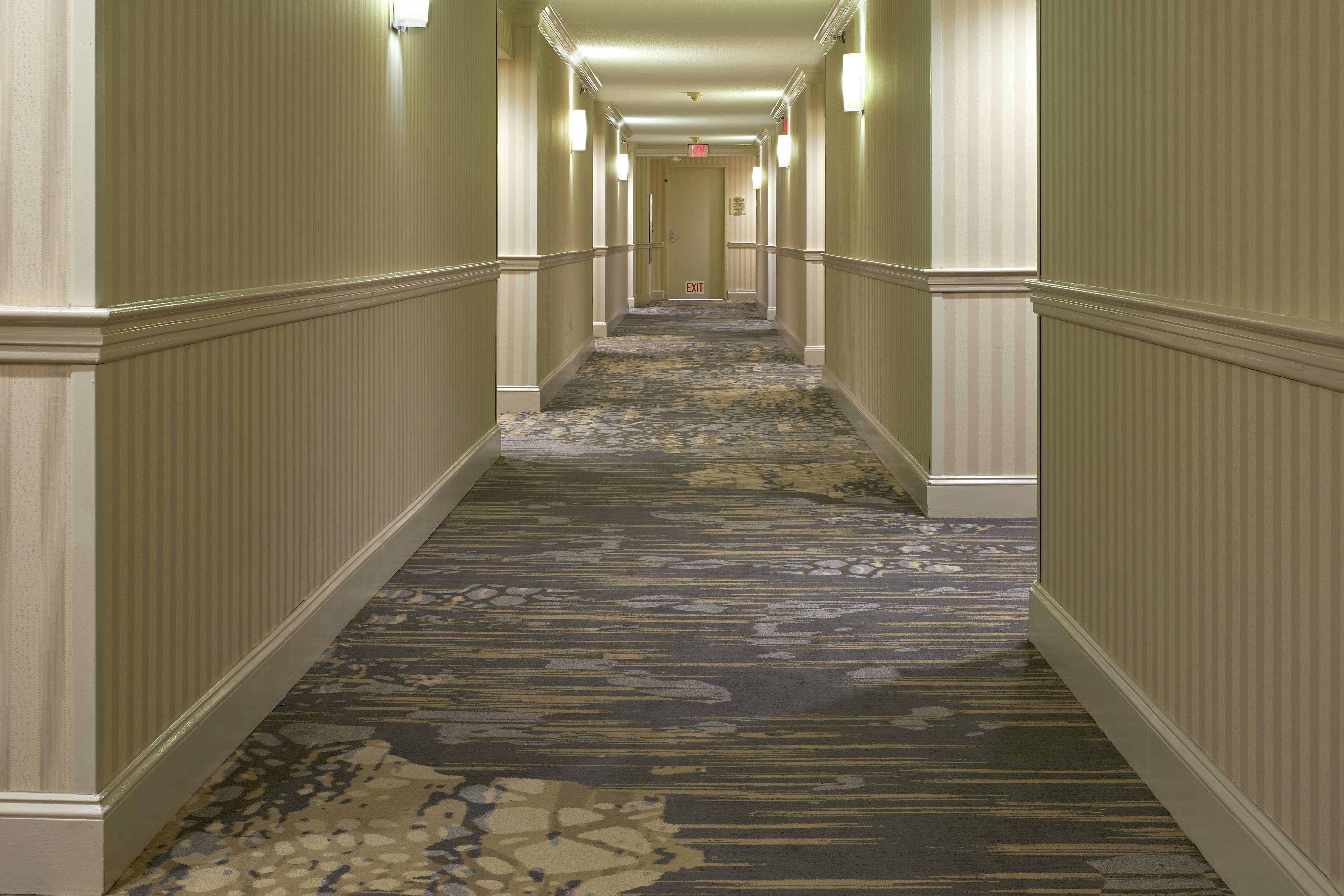 Hotel Hilton Raleigh North Hills Interiér fotografie